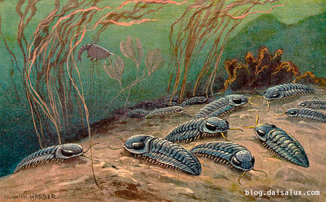 Recreación artística de un grupo de trilobitas.